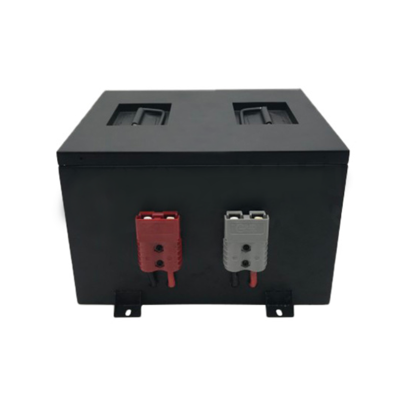 24V/36V/48VLFP100Ah AGV robot logistics distribution robot